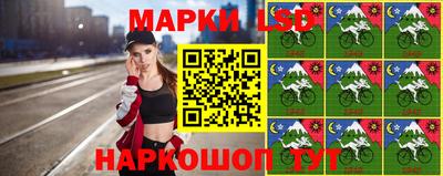стаф Шелехов