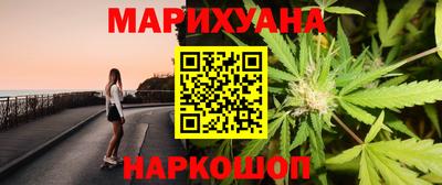 сатива Шебекино