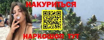 сатива Шебекино
