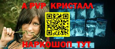 стаф Шелехов