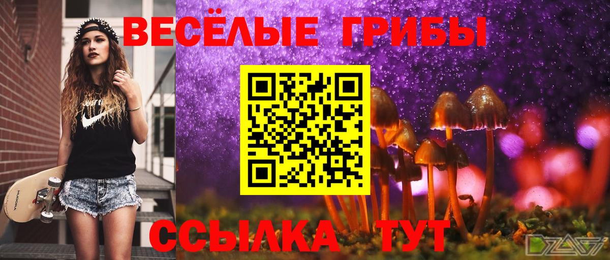 Псилоцибиновые грибы Magic Shrooms  Вход с VPN  Черняховск 
