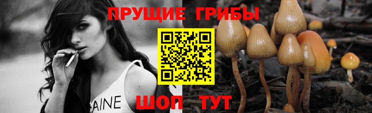 Галлюциногенные грибы MAGIC MUSHROOMS Черняховск